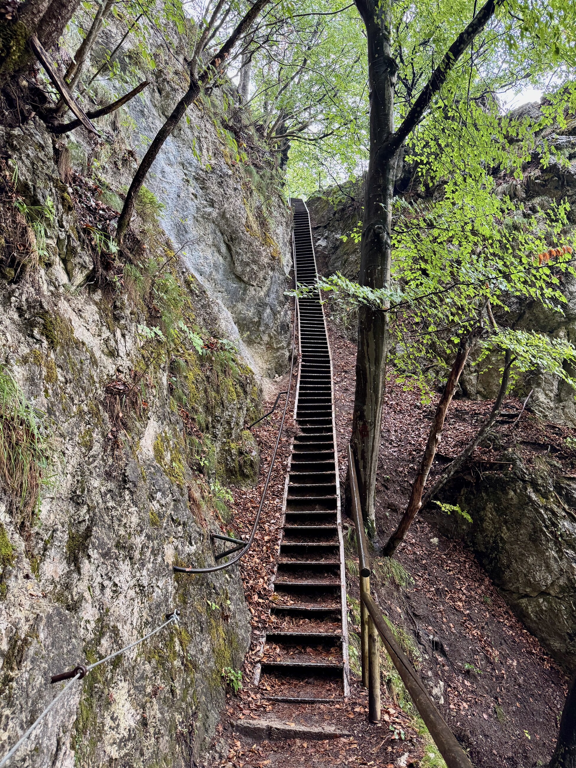Steep staircase