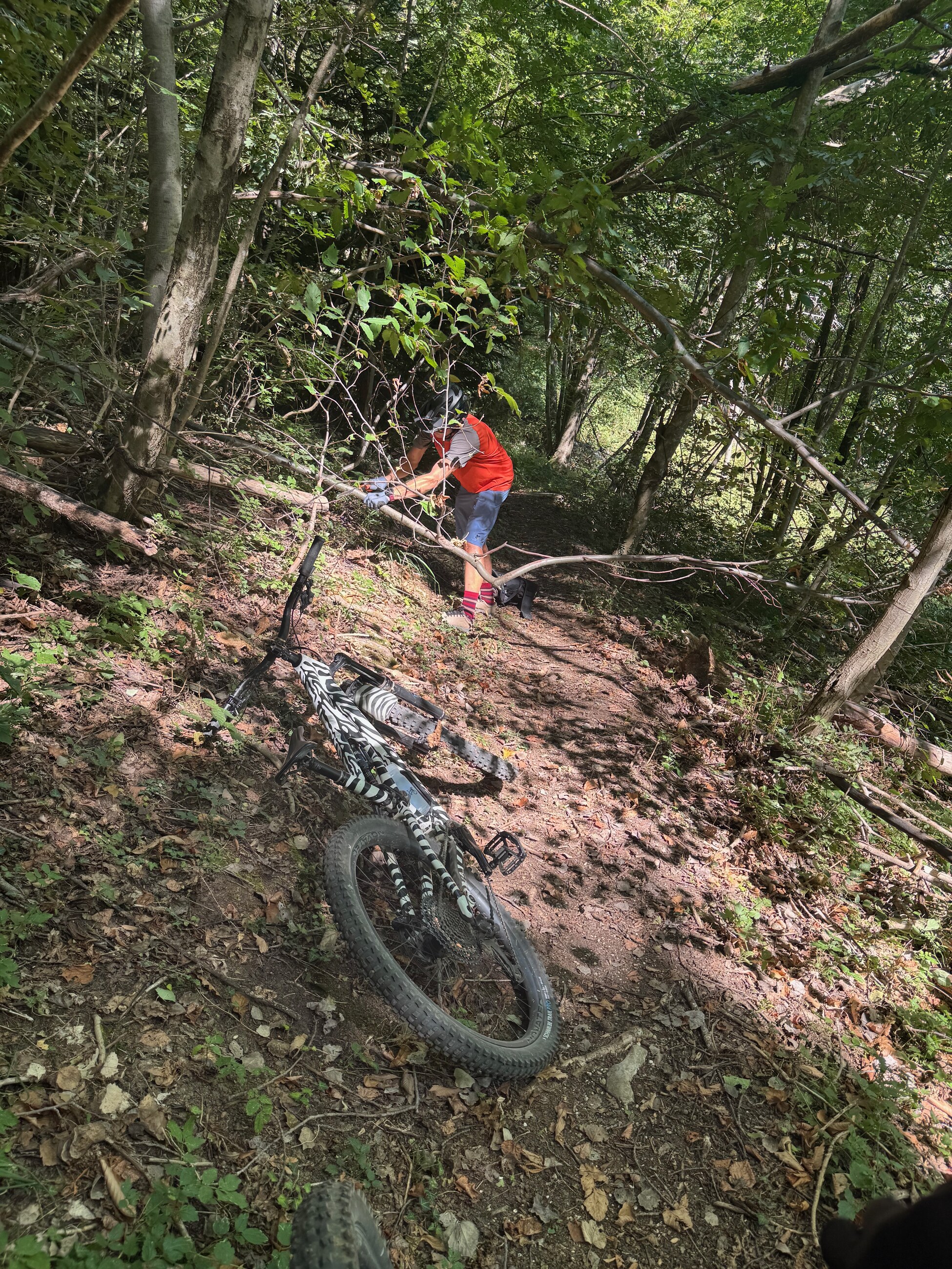 Tomaž doing trail maintenance